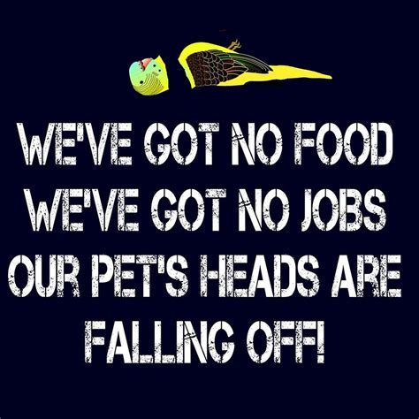 pets heads falling off